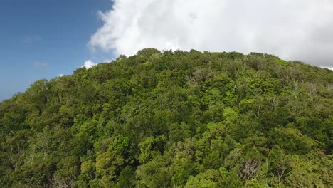 Aerial-drone-shot-over-Morne-l'archer-in-Martinique.-Close-up-over-trees